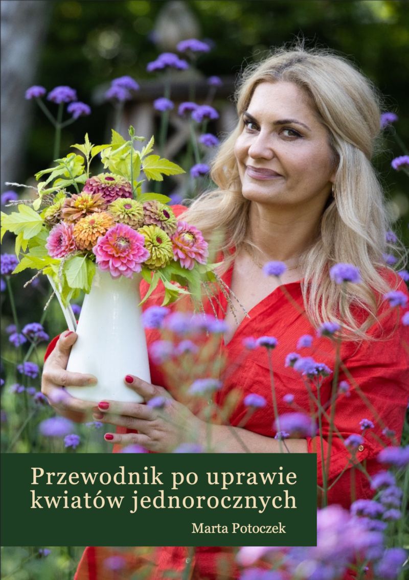 Przewodnik po uprawie kwiatów jednorocznych
