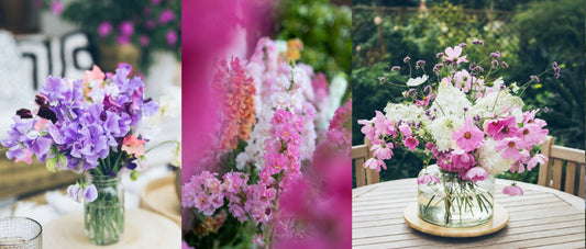 Kwiaty jednoroczne z siewu: 7 najlepszych gatunków do Twojego ogrodu