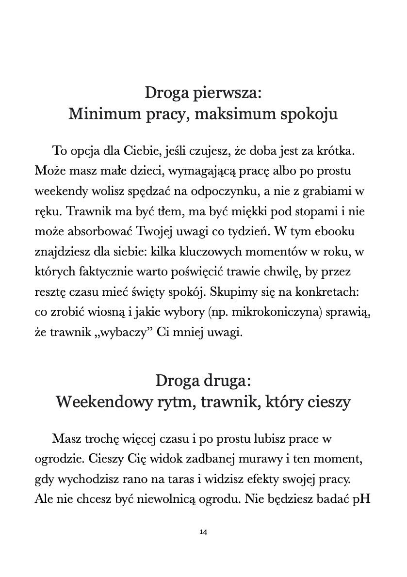 Piękny trawnik przez cały rok.