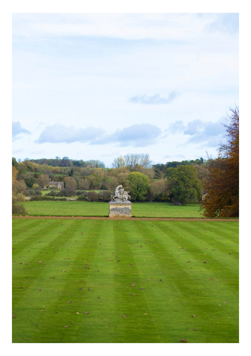 Piękny trawnik przez cały rok.