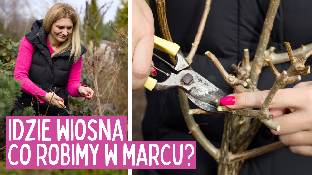 Załaduj film: Prace ogrodowe w marcu